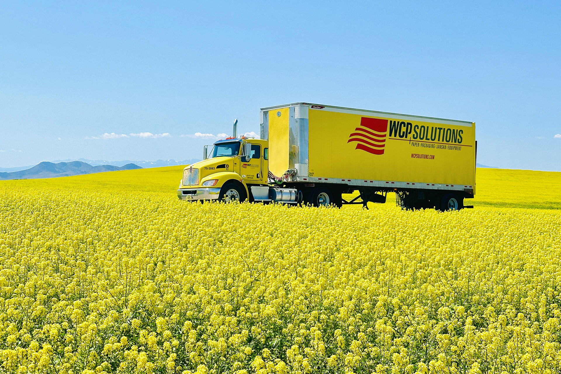 WCP Solutions Big Yellow Truck in a field of Yellow flowers.